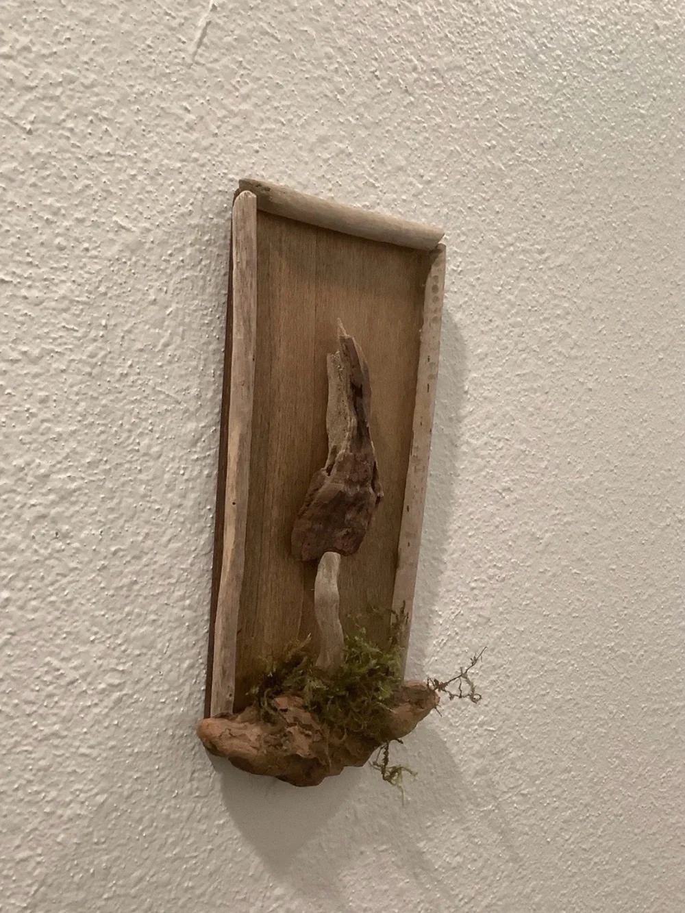 Driftwood Art, Driftwood Mushroom Wall Art , Mushroom Accent